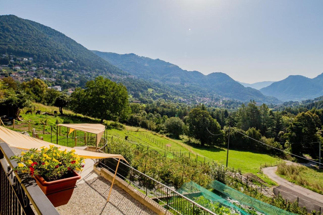 סן פדלה אינטלבי Agriturismo La Cascina B&B מראה חיצוני תמונה